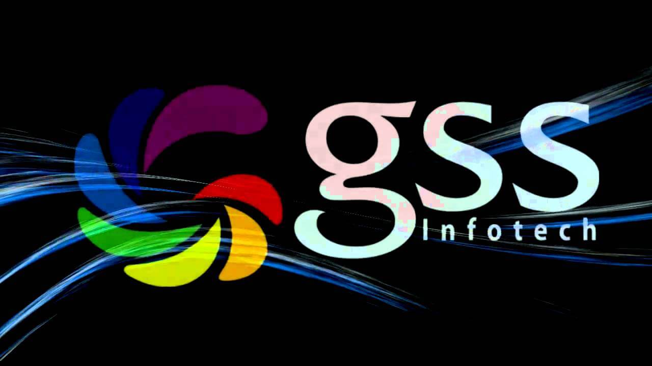 Deep Analysis Of GSS Infotech Share Price And TradingView